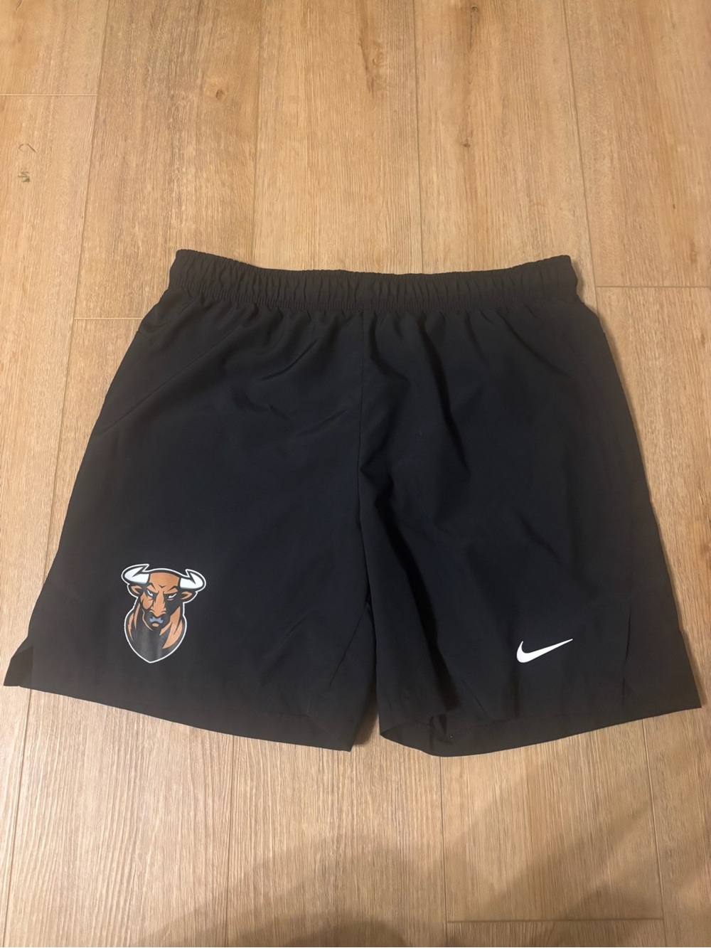 Mens Nike dri fit shorts